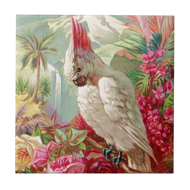 Cockatoo und Rose Vintage Kunst Fliese (Vorderseite)