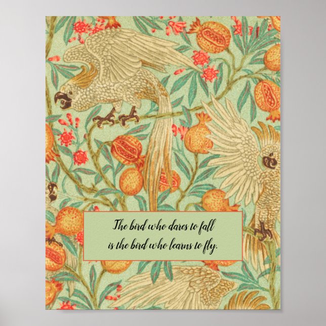 Cockatoo Vintag Bird Poster (Vorne)