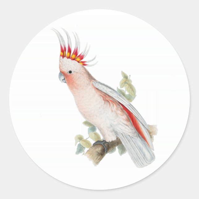 Cockatoo Vintage Kunst Runder Aufkleber (Vorderseite)