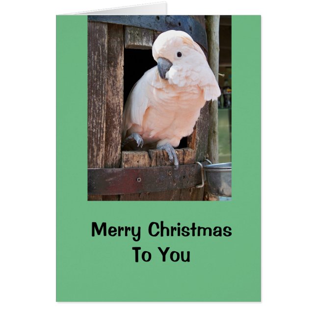 Cockatoo Zuhause Holiday Card, inklusive Umschläge (Vorne)