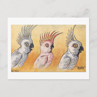 Cockatoos, Louis Wain,  Postkarte
