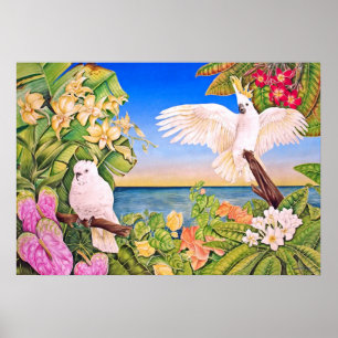 Cockatoos Sulfer-mit Haube Poster