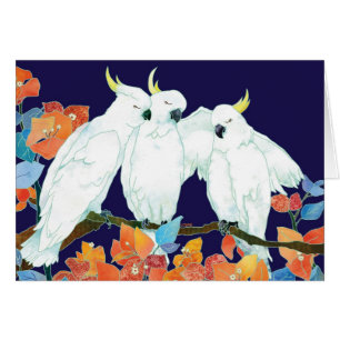 Cockatoos und Bouganvilla