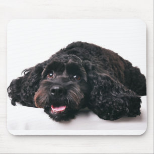 Cocker Poodle Mix Welpenmousepad Mousepad