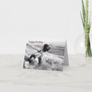Cocker Spanel Birthday Karte