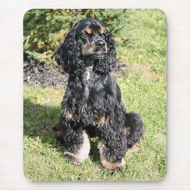 Cocker Spanel Foto Mousepad (Vorne)