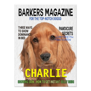 Cocker Spanel Parody Magazine Cover Fotodruck