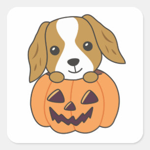 Cocker Spanel Pumpkin Niedlich Hunde Happy Hallowe Quadratischer Aufkleber