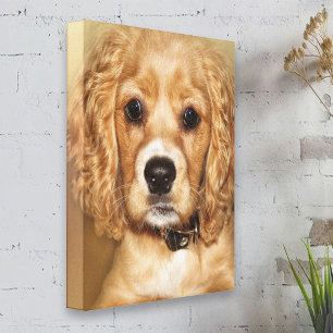 Cocker Spanel Puppy Portrait Leinwand Wrap