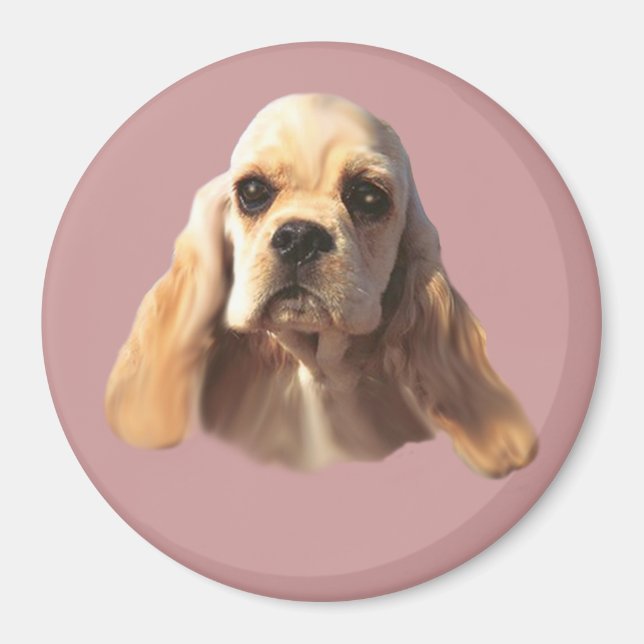 Cocker Spaniel Blondie Magnet (Vorne)