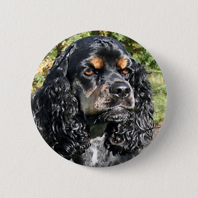 Cocker Spaniel Button (Vorderseite)