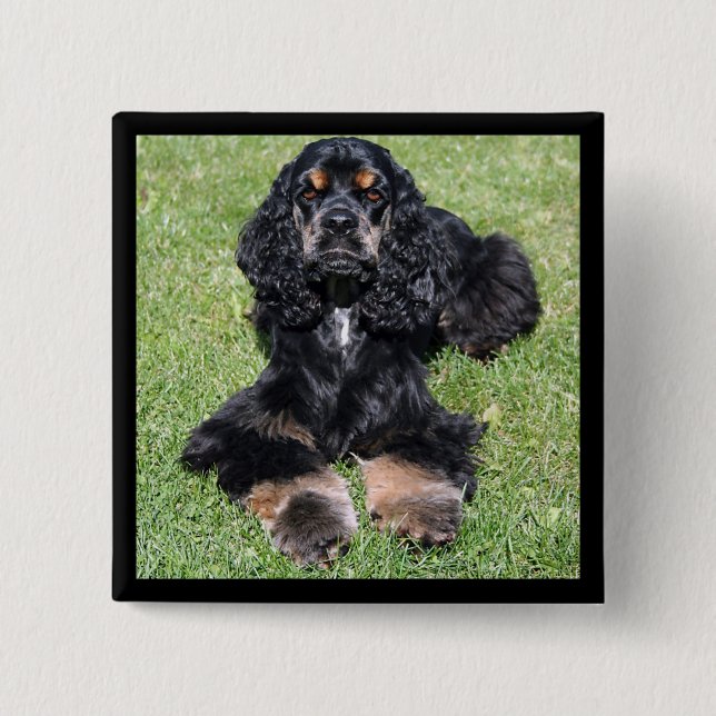 Cocker Spaniel Button (Vorderseite)