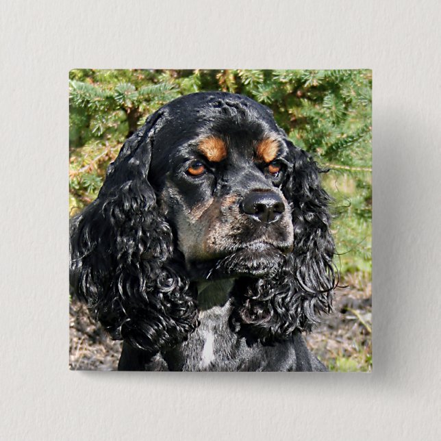 Cocker Spaniel Button (Vorderseite)