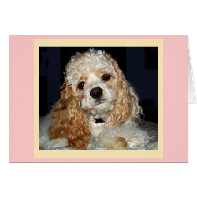 Cocker Spaniel Card (Vorderseite (Horizontal))