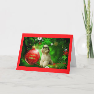 Cocker Spaniel Christmas Card Red BallGreen2 Feiertagskarte
