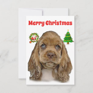 Cocker spaniel Christmas Cards