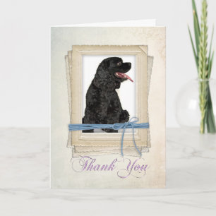 Cocker Spaniel Danke-Card Dankeskarte