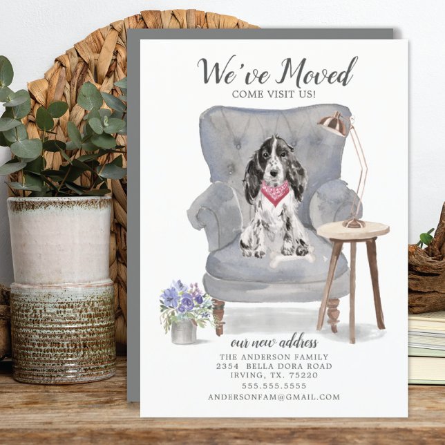 Cocker Spaniel Dog | Ankündigung der Beförderung (Von Creator hochgeladen)