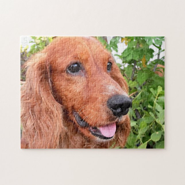 Cocker Spaniel Dog Puzzle (Horizontal)