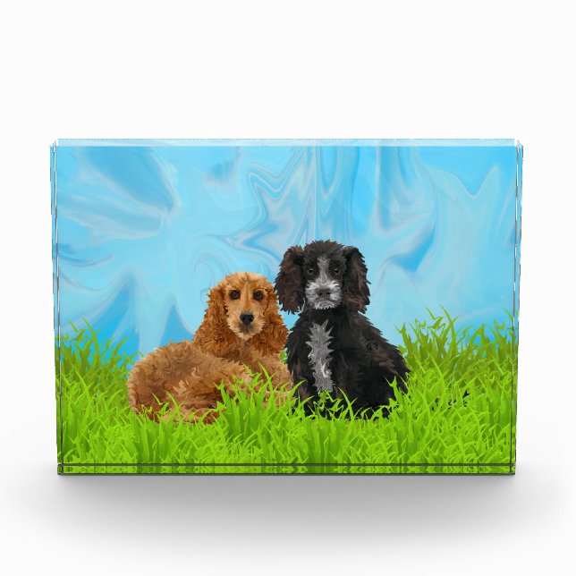 Cocker spaniel-Duo Fotoblock (Vorderseite)