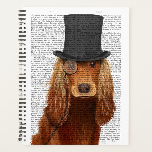 Cocker Spaniel, Festhund und Hut Planer (Vorderseite)