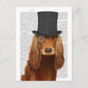 Cocker Spaniel, Festhund und Hut Postkarte