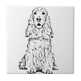Cocker spaniel fliese