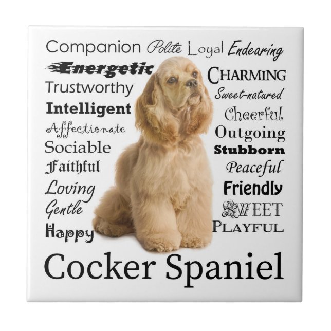 Cocker spaniel-Fliese Fliese (Vorderseite)