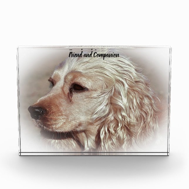 Cocker Spaniel. Fotoblock (Vorderseite)