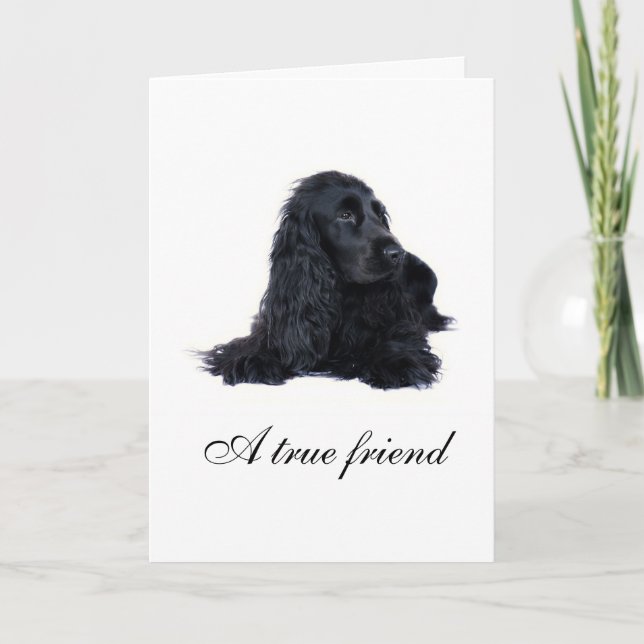 Cocker Spaniel Freundschaft Karte (Vorderseite)