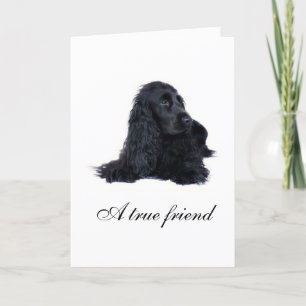 Cocker Spaniel Freundschaft Karte