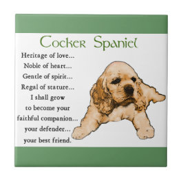 Cocker Spaniel Heritage of Liebe Fliese