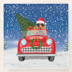 Cocker Spaniel Hund Autofahren Auto in Schnee Weih Glasuntersetzer