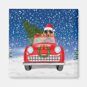 Cocker Spaniel Hund Autofahren Auto in Schnee Weih Magnet