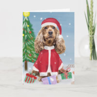 Cocker Spaniel Hund im Schnee mit Weihnachtsgesche
