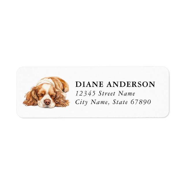 Cocker Spaniel Hund Rücksendeadressetiketten (Vorne)