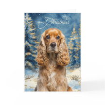 Cocker Spaniel Hund und blauer Winterkiefernwald