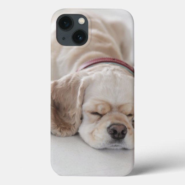 Cocker spaniel-Hundeschlafen Case-Mate iPhone Hülle (Rückseite)
