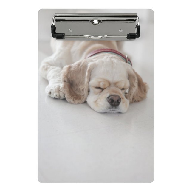 Cocker spaniel-Hundeschlafen Mini Klemmbrett (Vorderseite)