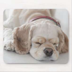 Cocker spaniel-Hundeschlafen Mousepad
