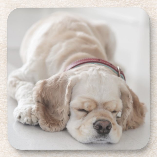Cocker spaniel-Hundeschlafen Untersetzer (Vorderseite)