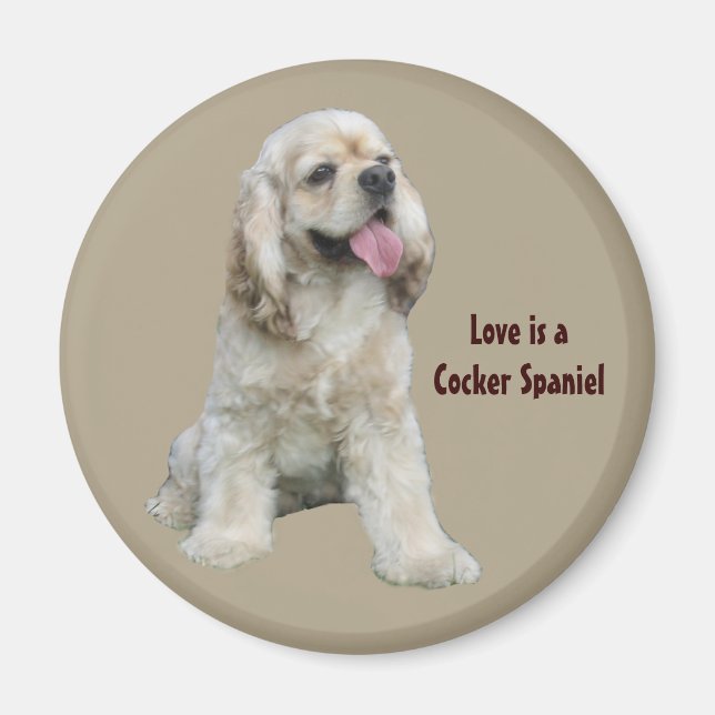 Cocker Spaniel Irresistible Magnet (Vorne)