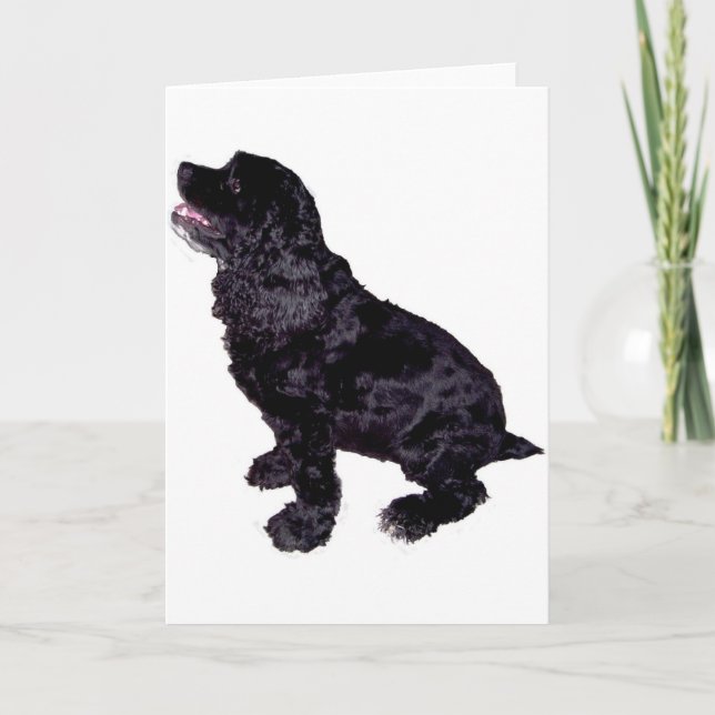 Cocker Spaniel Karte (Vorderseite)