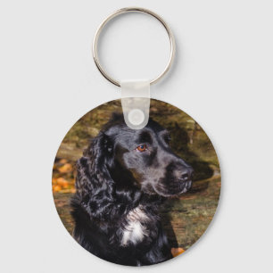 Cocker Spaniel Keyring Schlüsselanhänger