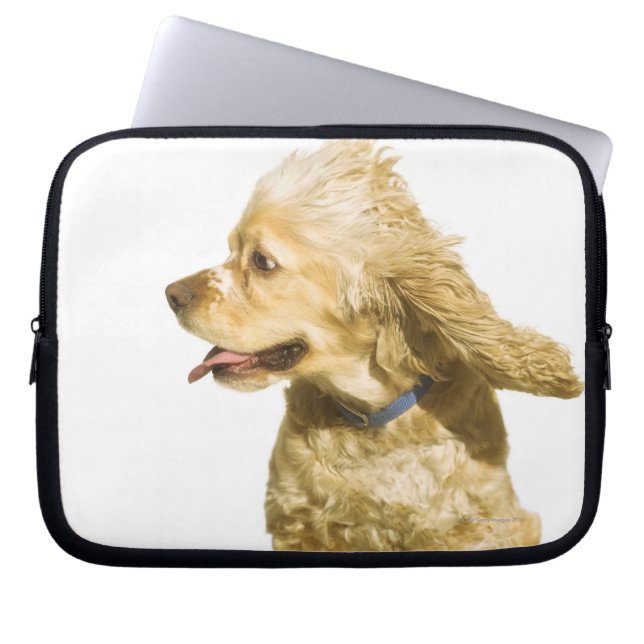 Cocker Spaniel Laptopschutzhülle (Vorderseite)