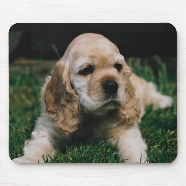 cocker spaniel-Mausunterlage Mousepad (Vorne)