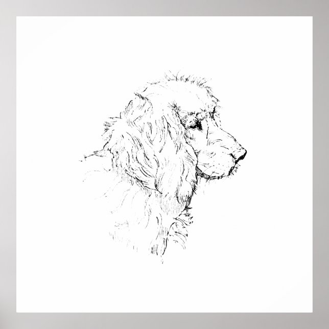 Cocker Spaniel – Minimalistische Strichzeichnung Poster (Vorne)