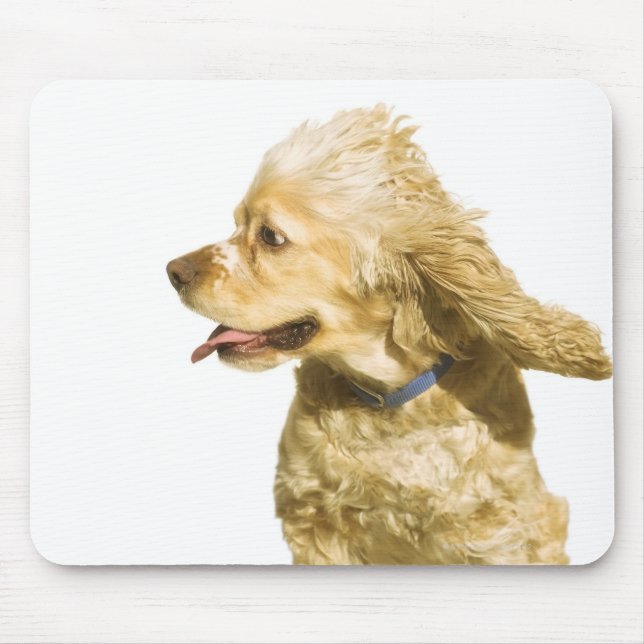 Cocker Spaniel Mousepad (Vorne)