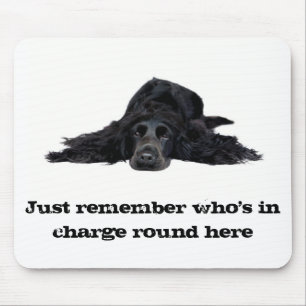 Cocker spaniel mousepad
