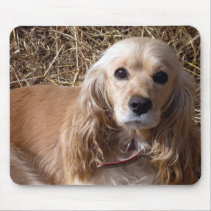 Cocker spaniel mousepad